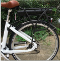 200-250W Motor Electric Bicycle